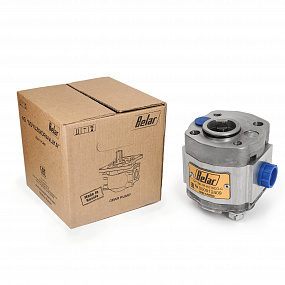 Насос GP1BK1R-K210GC-C
